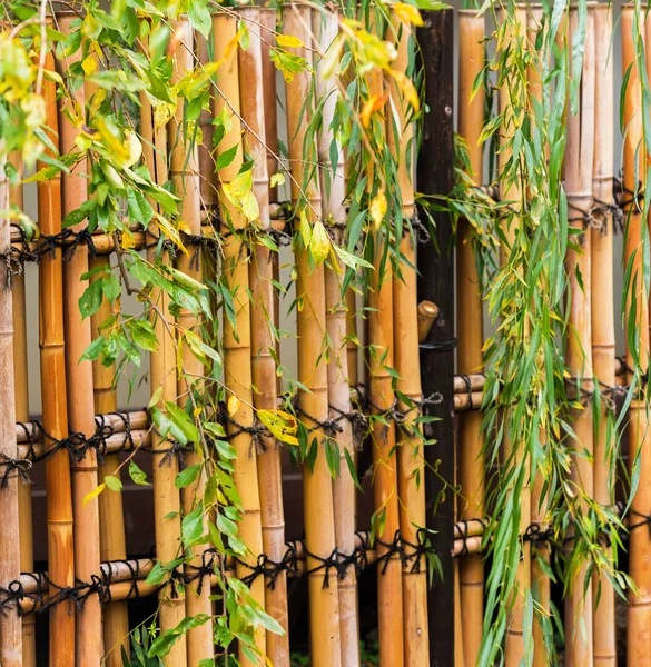 View of the bamboo fence in Kyoto, Japan. Close-up