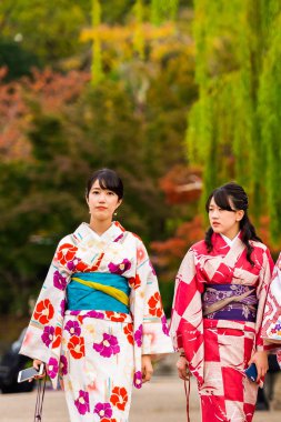 Kyoto, Japonya - 7 Kasım 2017: Bir şehir sokak üzerinde bir kimono'de iki kız. Metin için yer kopyalayın. Dikey