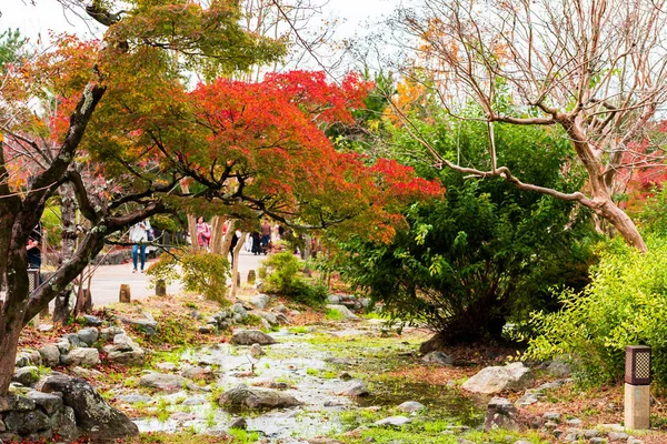 Veduta Del Paesaggio Autunnale Nel Parco Kyoto Giappone Copia Spazio — Foto Stock