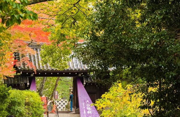 日本京都 2017年11月7日 公园秋季景观 — 图库照片