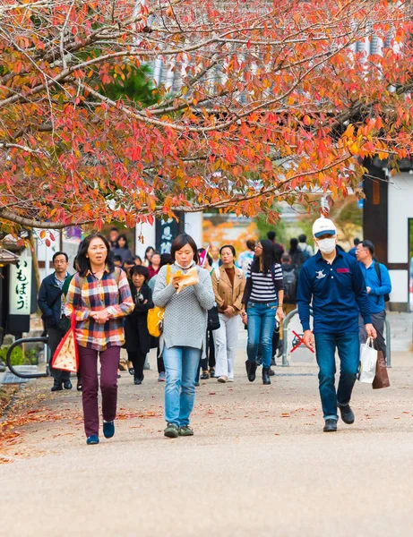 Kyoto Japonia Listopada 2017 Grupa Ludzi Parku Miejskim Kopiować Miejsca — Zdjęcie stockowe