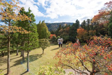 Hakone, Japonya - 5 Kasım 2017: Açık Hava Müzesi'nde heykel. Metin için yer kopyalayın