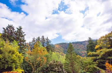 Dağlarda, Hanoke, Japonya sonbahar peyzaj görünümünü. Metin için yer kopyalayın