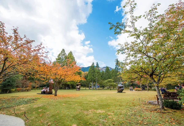 Hakone Giappone Novembre 2017 Sculture Nel Museo All Aperto Copia — Foto Stock