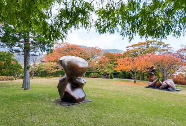 Hakone Japonia Listopada 2017 Rzeźby Muzeum Świeżym Powietrzu Kopiować Miejsca — Zdjęcie stockowe