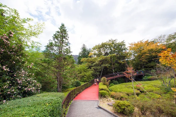 Widok Krajobraz Jesień Parku Hanoke Japonia Kopiować Miejsca Tekst — Zdjęcie stockowe