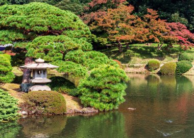 Shinjuku Parkı, Tokyo, Japonya sonbaharda. Metin için yer kopyalayın