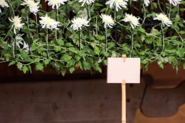Plaka bambu Stick bir kasımpatı arka plan, Tokyo, Japonya. Metin için çerçeve                                                                    