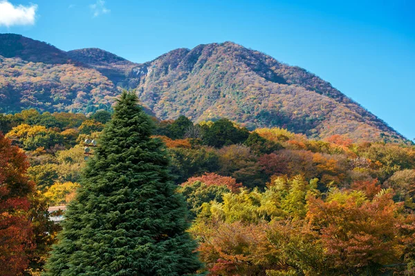 Widok Góry Parku Narodowym Hakone Hakone Japonia Kopiować Miejsca Tekst — Zdjęcie stockowe