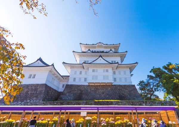 Odawara Japan November 2017 Odawara Castle Ist Ein Japanisches Schloss — Stockfoto