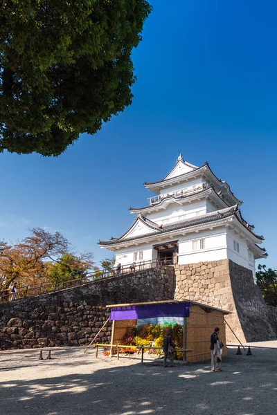 Odawara Japan November 2017 Odawara Castle Ist Ein Japaner Hirayama — Stockfoto