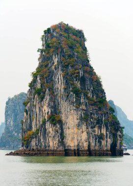 Halong, Vietnam için kayalık manzara görünümünü. Metin için yer kopyalayın. Dikey