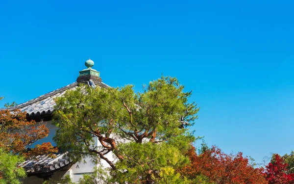 Eski Şehrin Mavi Gökyüzü Kyoto Japonya Karşı Bir Binada Görünümünü — Stok fotoğraf