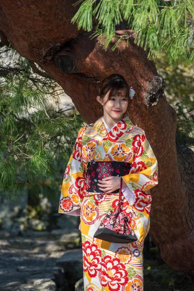 Kyoto Japão Novembro 2017 Menina Quimono Parque Cidade Vertical — Fotografia de Stock