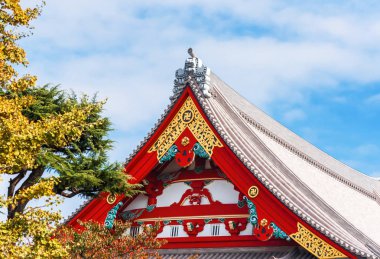 Görünümü, Tapınağı nın Asakusa Schrein (Senso-ji), Tokyo, Japonya. Metin için yer kopyalayın