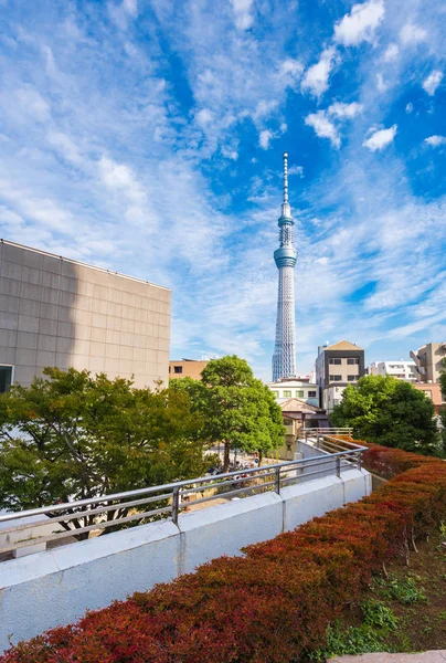 Tokio Japonia Października 2017 Widok Wieży Telewizyjnej Niebiańskie Drzewo Tokio — Zdjęcie stockowe