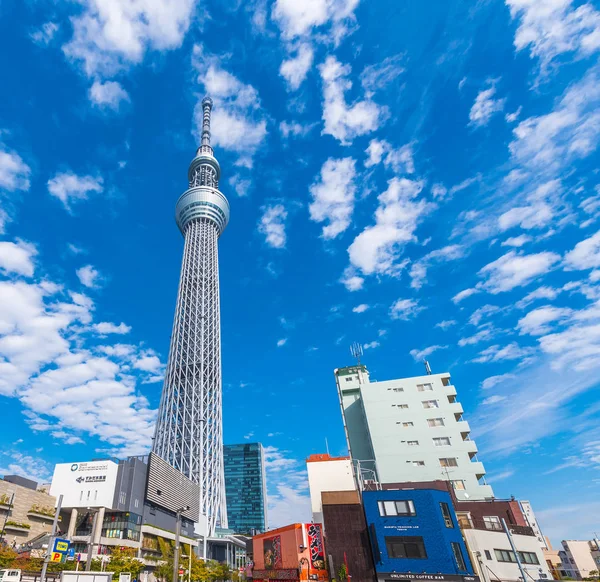 Tokio Japón Octubre 2017 Vista Torre Televisión Árbol Celestial Tokio — Foto de Stock