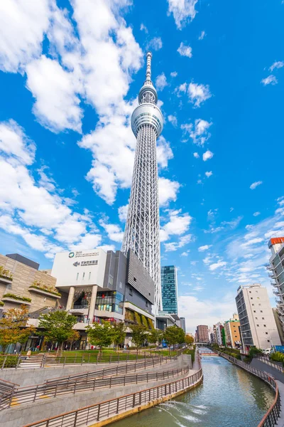 Tokyo, Japonya - 31 Ekim 2017: Tv Kulesi 