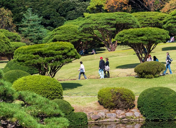 Tokio Japonia Października 2017 Jesień Parku Shinjuku Tokio Japonia — Zdjęcie stockowe