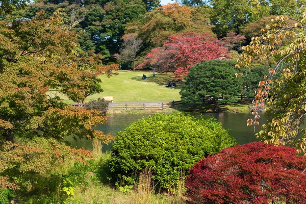 Shinjuku Parkı 'nda sonbahar, Tokyo, Japonya