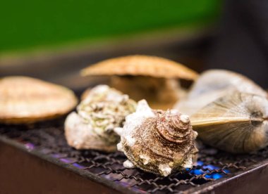 Yumuşakçalar yanıyor, Tokyo, Japonya bir kafede pişer