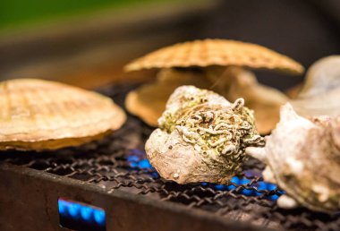 Yumuşakçalar yanıyor, Tokyo, Japonya bir kafede pişer