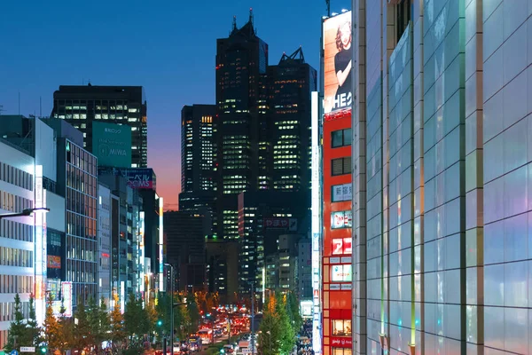 Tokio Japón Octubre 2017 Paisaje Urbano Vista Ciudad Nocturna — Foto de Stock