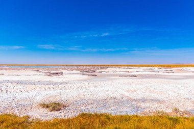 Atacama çölünde manzara, Salt Lake, Şili. Metin için alan kopyalama.                    