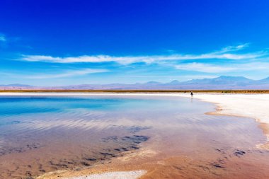 Atacama çölünde manzara, Salt Lake, Şili. Metin için alan kopyalama.                    