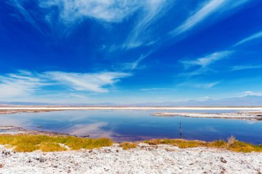 Atacama çölünde manzara, Salt Lake, Şili. Metin için alan kopyalama.                    