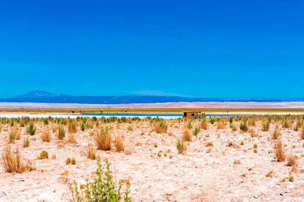 阿塔卡马沙漠，盐湖，智利的景观。文本的复制空间. — 图库照片