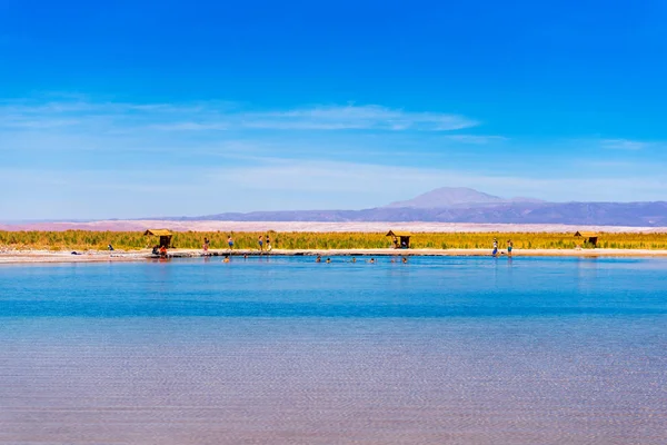 ATACAMA, CHILE - JANEIRO 17, 2018: Paisagem no deserto do Atacama e Salt Lake. Espaço de cópia para texto . — Fotografia de Stock