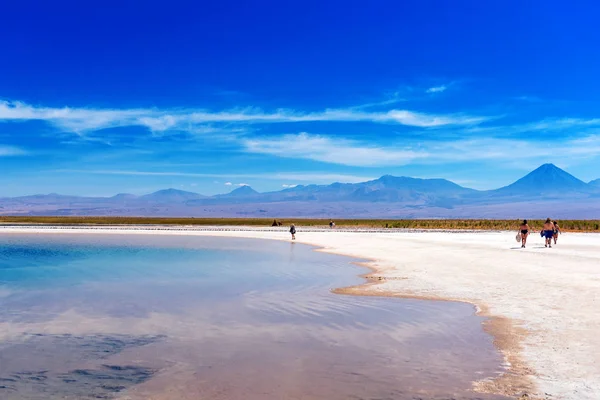 Paisaje en el desierto de Atacama, Lago Salado, Chile. Copiar espacio para texto . —  Fotos de Stock