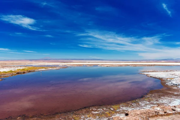 Paisaje en el desierto de Atacama, Lago Salado, Chile. Copiar espacio para texto . — Foto de Stock