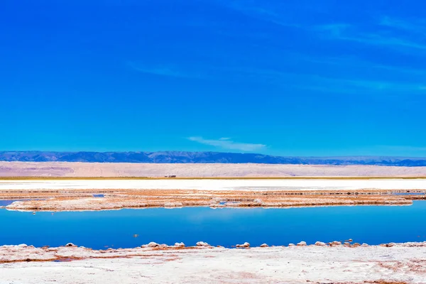 Atacama çölünde manzara, Salt Lake, Şili. Metin için alan kopyalama.                    