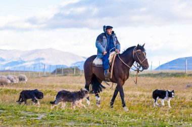 Patagonya, Şili - 4 Ocak 2018: Köpeklerle at sırtında çoban. Metin için alan kopyalama.               