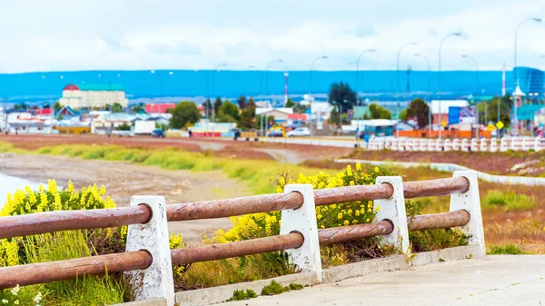 Tekintettel a fából készült kerítés és a sárga virágok, Punta Arena, Chile. A szöveg másolása szóközzel. — Stock Fotó