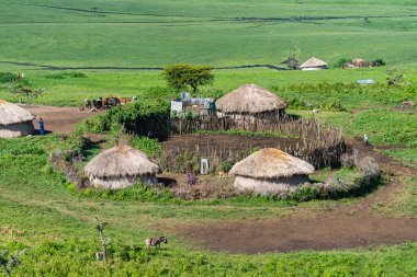 Ngorongoro Koruma Merkezi 'ndeki Massai köyü. Afrika Savanasında Küçük Massai Kulübeleri, Tanzanya