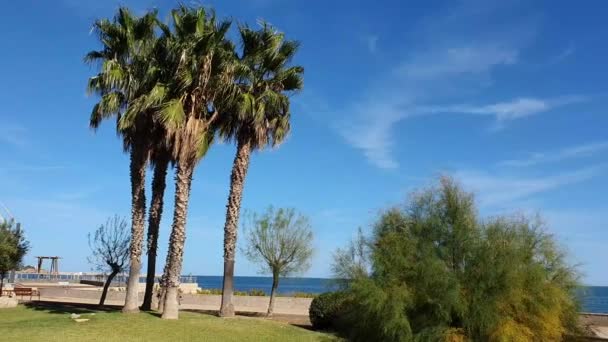 Uitzicht op een park met palmbomen bij LAmpolla, Tarragona — Stockvideo