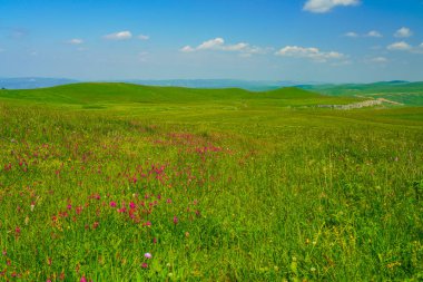 Kuzey Elbrus Kafkasya Bölgesi 'nin Elbrus Yeşil Yamaçlarında güzel bir yaz manzarası. Beyaz bulutlu mavi gökyüzü. Panorama