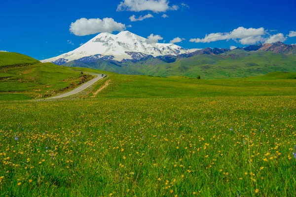 美丽的Elbrus和绿色的盛开的Meadow山在夏天的一天 道路和美丽的蓝天 俄罗斯卡拉恰伊 切尔凯斯亚北高加索地区 — 图库照片