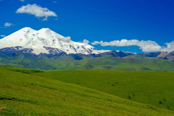 夏日的Elbrus和Green Meadow Hills令人惊奇 俄罗斯卡拉恰伊 切尔克西亚北高加索地区蓝天背景 — 图库照片