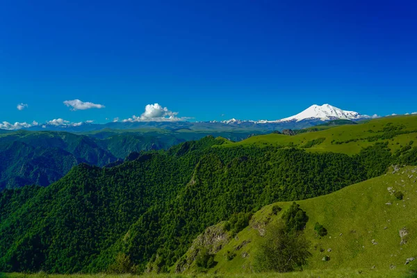 Antecedentes Increíbles Elbrus Green Meadow Hills Forest Día Verano Cáucaso — Foto de Stock