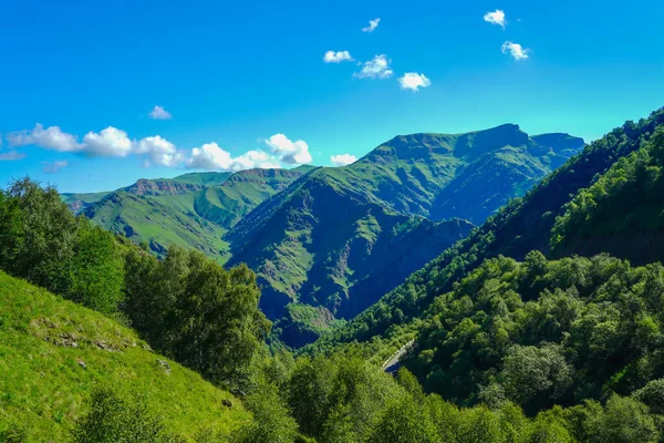 Green Meadow Hills and Forest en un día de verano. Cáucaso Norte, Región de Elbrus, Rusia — Foto de Stock