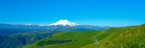 Panorama de Elbrus y Green Meadow Hills en un día de verano . — Foto de Stock