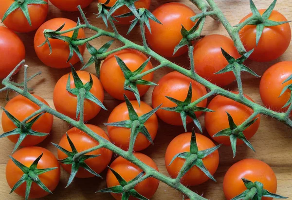 Picrture Fresh Organic Cherry Tomato — Stock Photo, Image