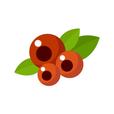 Beyaz arka plan üzerinde kuş üzümü izole