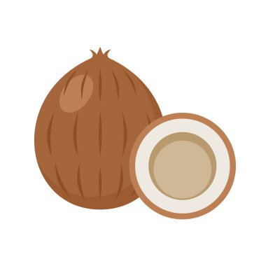 Beyaz arka plan üzerinde Coco izole