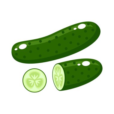 Beyaz arka plan üzerinde salatalık. Vektör çizimi