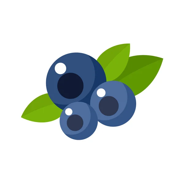 Blueberry op een witte achtergrond geïsoleerd — Stockvector